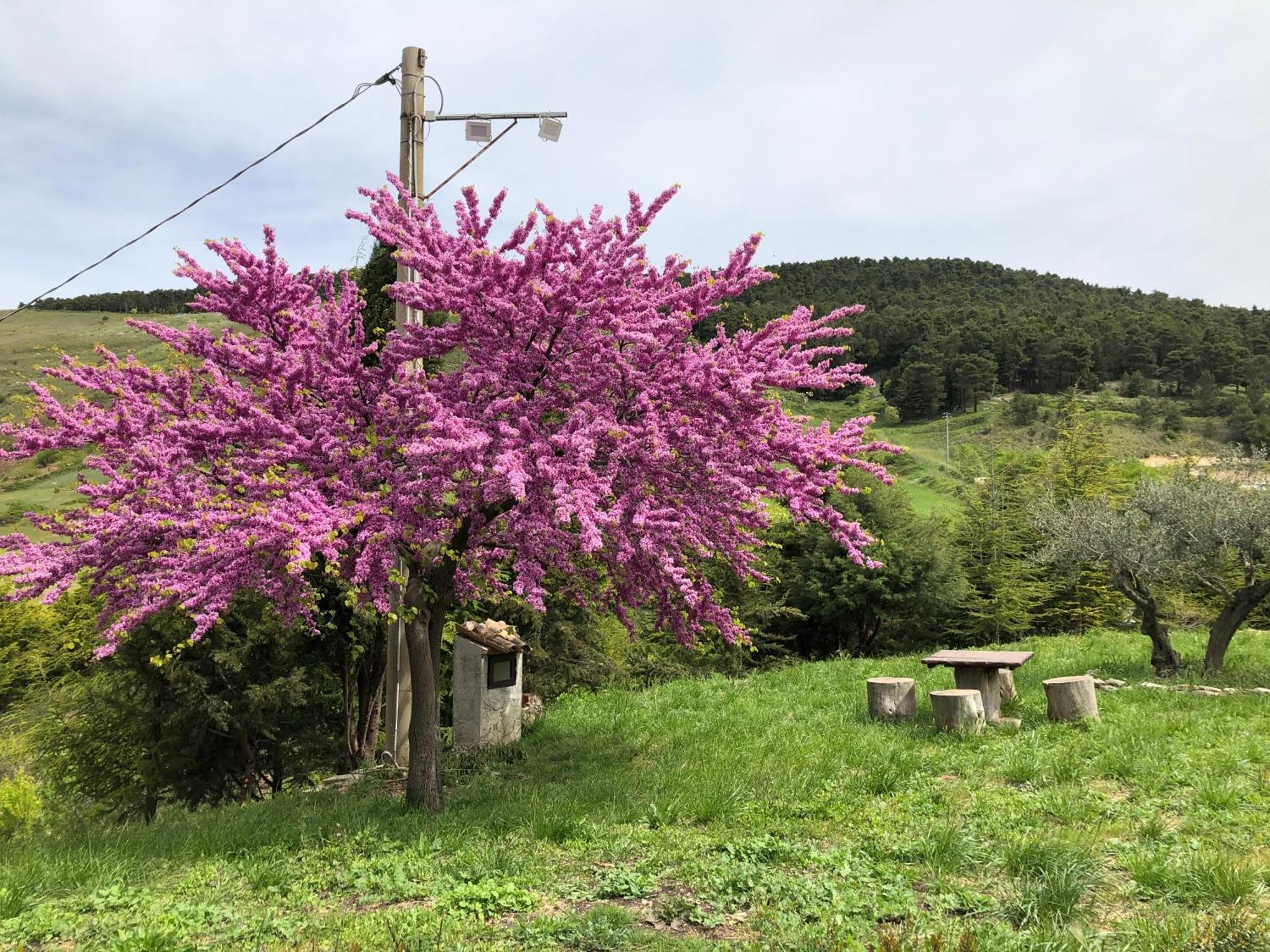 Santo Stefano Quisquina Agriturismo Serra Moneta מראה חיצוני תמונה