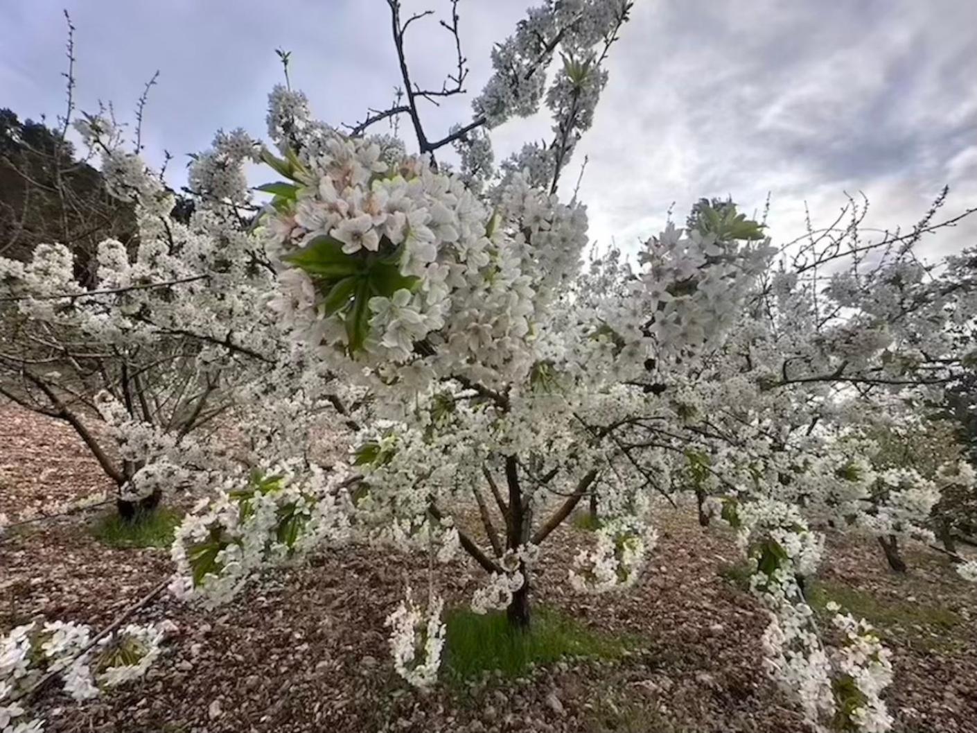 Santo Stefano Quisquina Agriturismo Serra Moneta מראה חיצוני תמונה