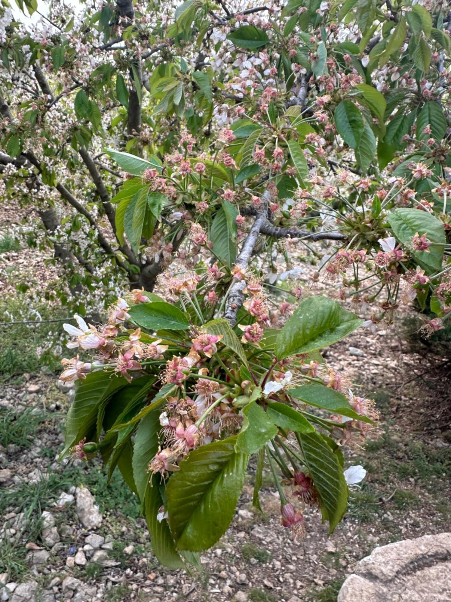 Santo Stefano Quisquina Agriturismo Serra Moneta מראה חיצוני תמונה