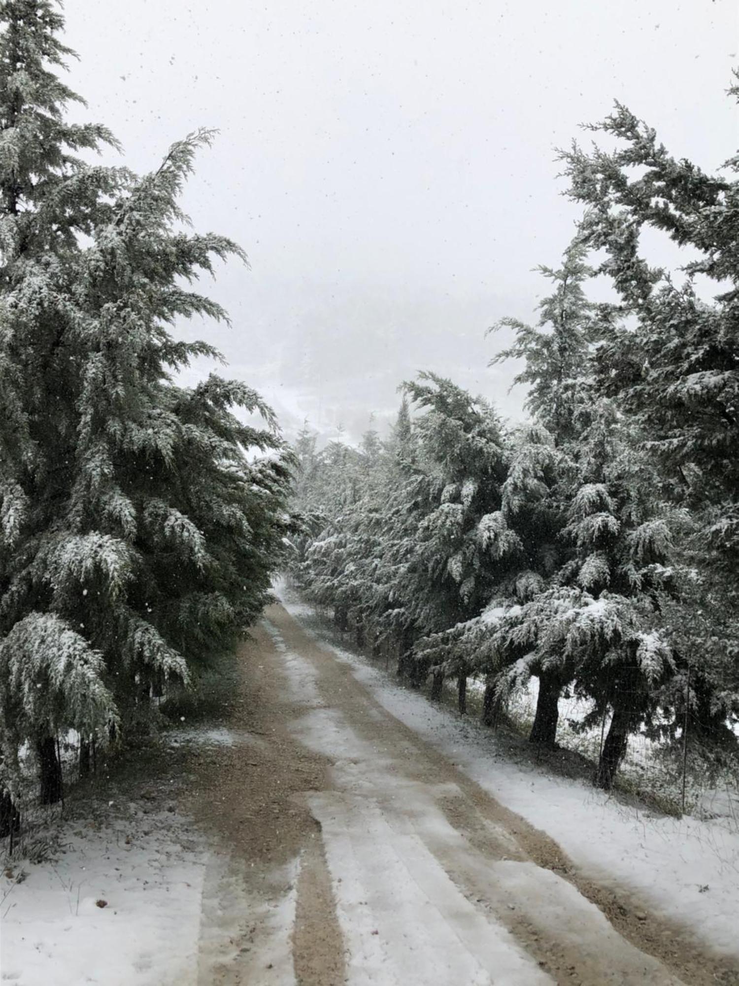 Santo Stefano Quisquina Agriturismo Serra Moneta מראה חיצוני תמונה