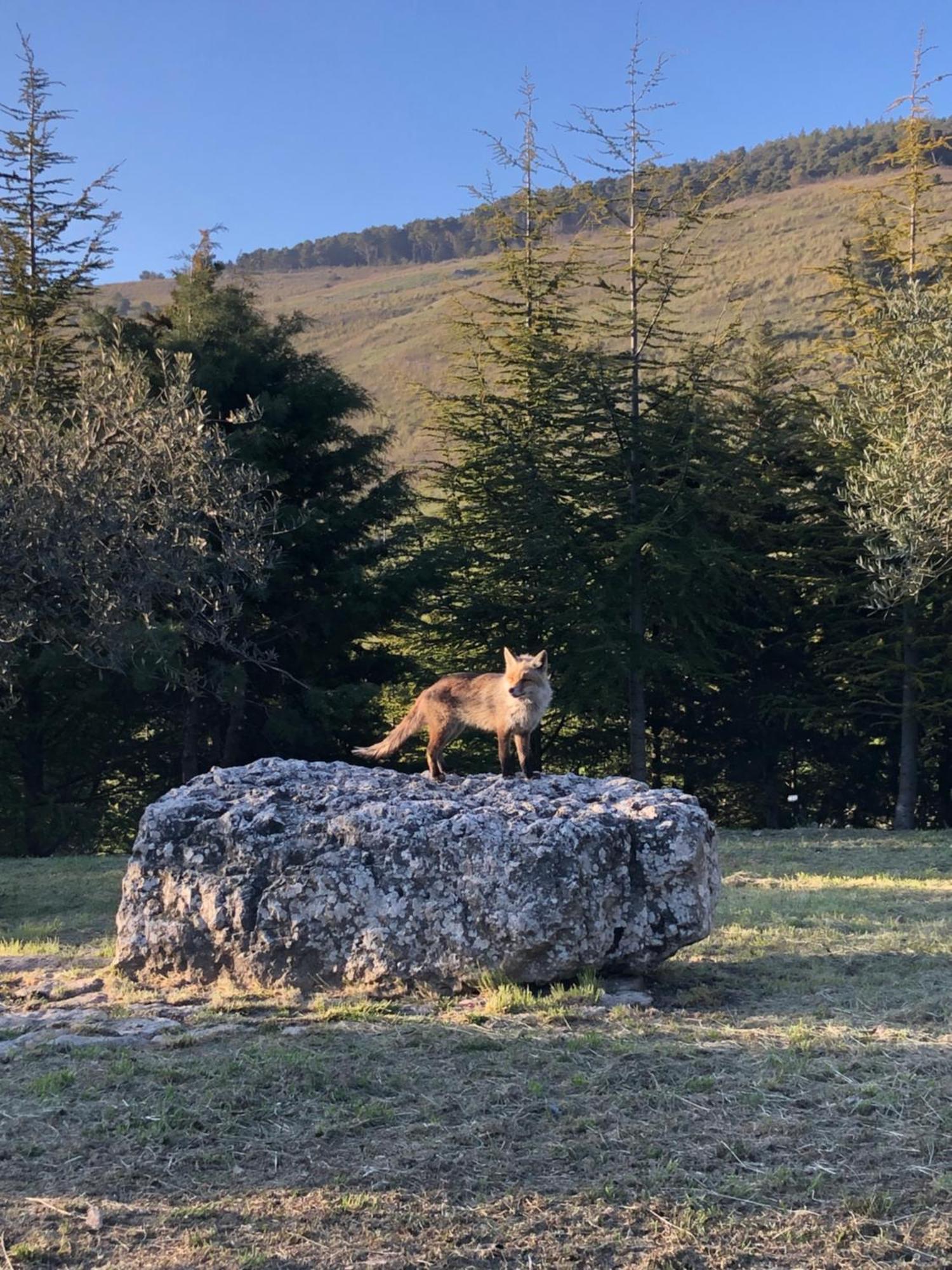 Santo Stefano Quisquina Agriturismo Serra Moneta מראה חיצוני תמונה